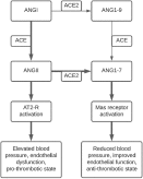 SARS-CoV-2 infection and its association with thrombosis and ischemic stroke: a review