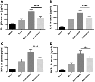 Artemisinin protects mice against burn sepsis through inhibiting NLRP3 inflammasome activation