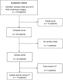 Serum potassium concentration predicts brain hypoxia on CT after avalanche-induced cardiac arrest